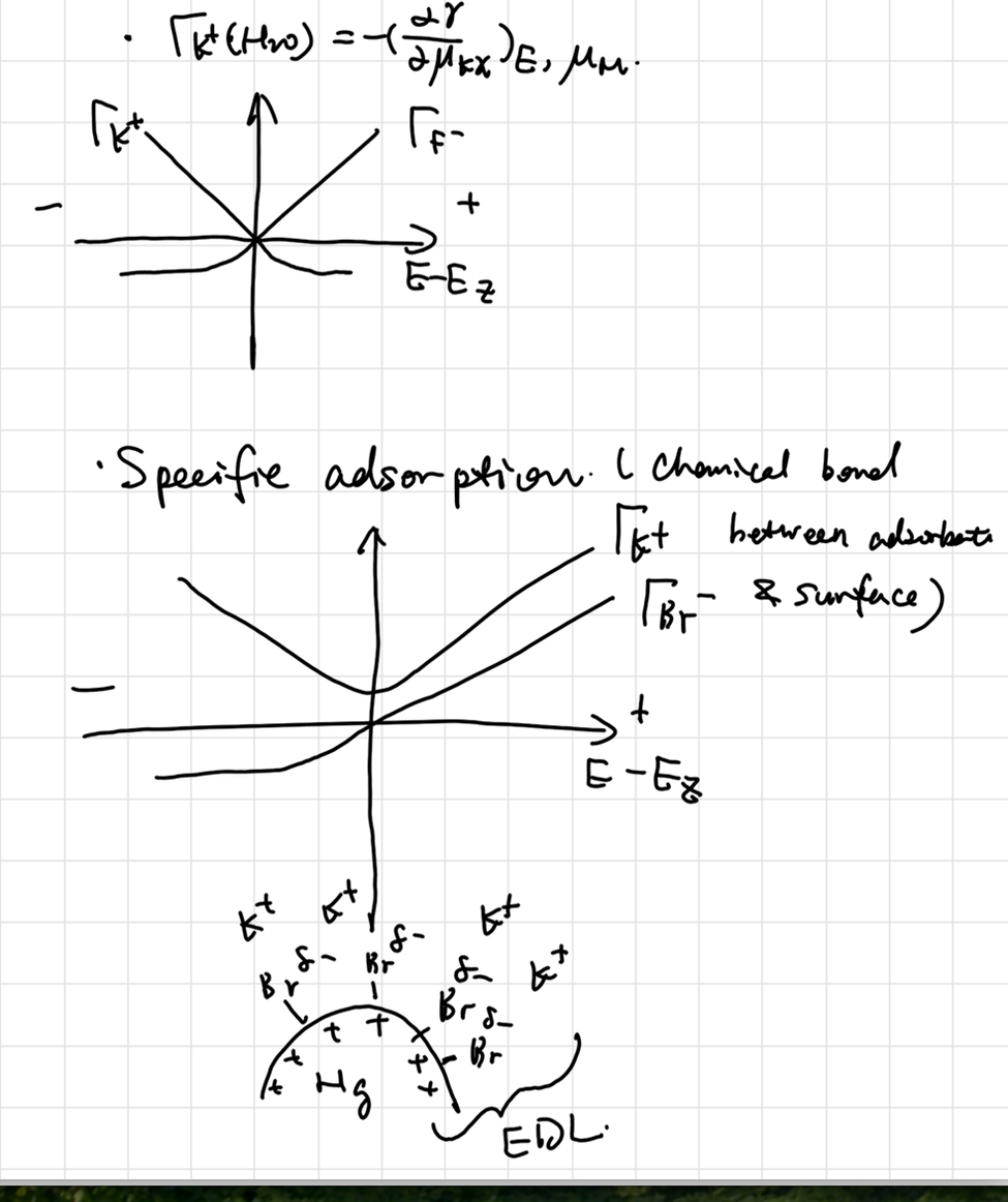 image-20251103202855441